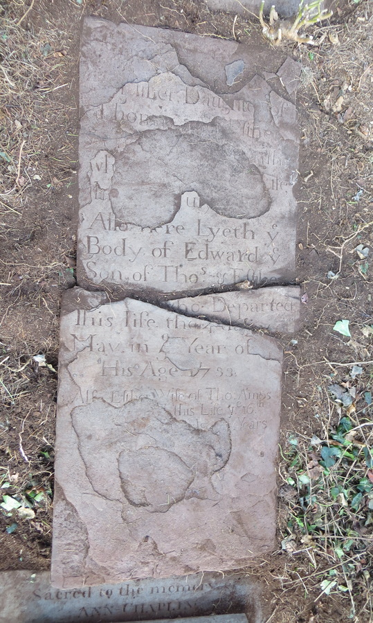 1063 Esther Amos died July 1731